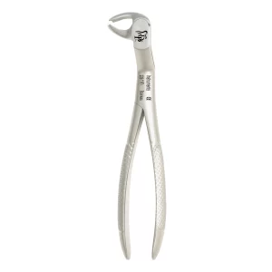 مولر پایین چپ 1161