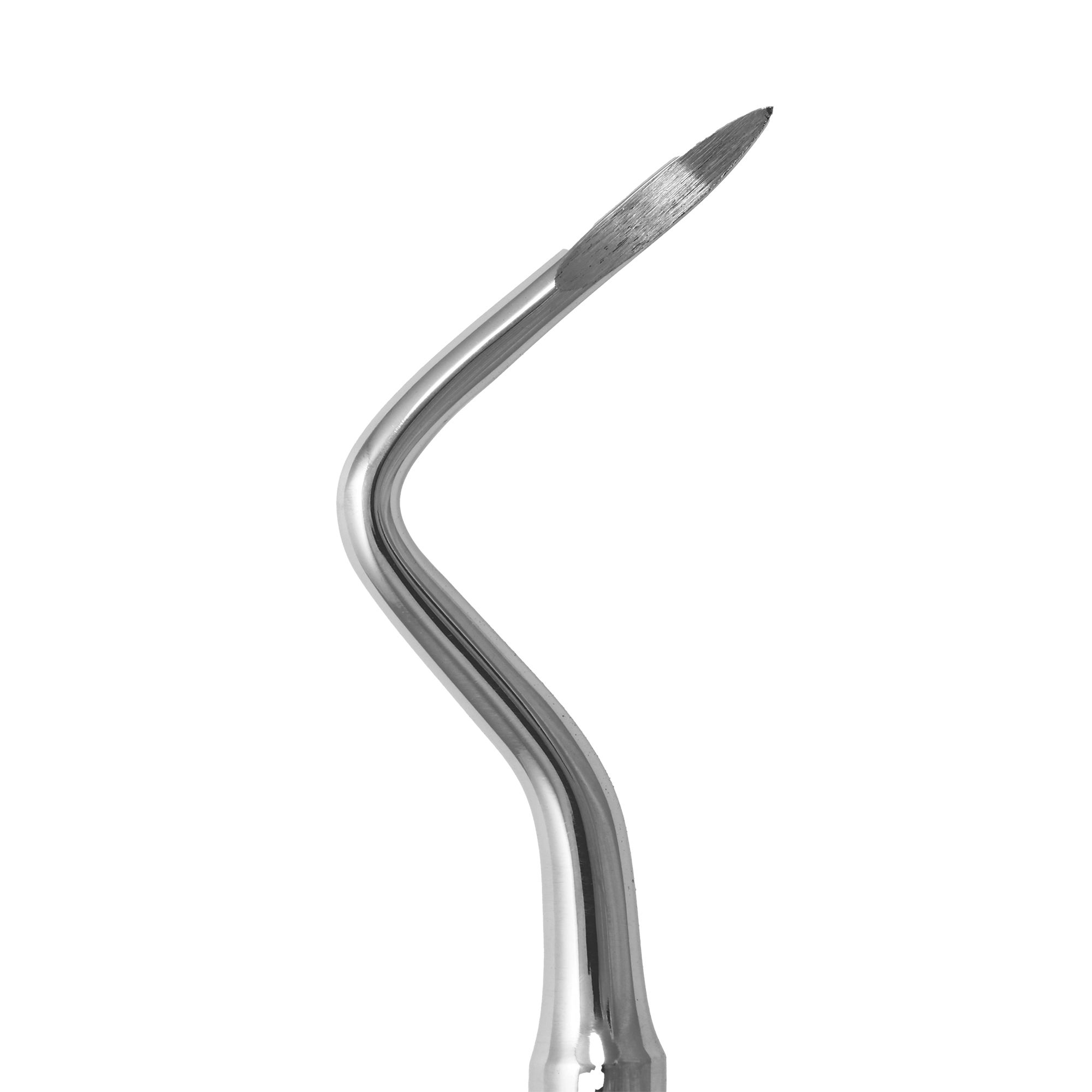 الواتور ریشه چپ 1262