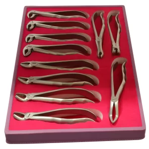 ست فورسپس بزرگسال 11 عددی آناتومیک 4100