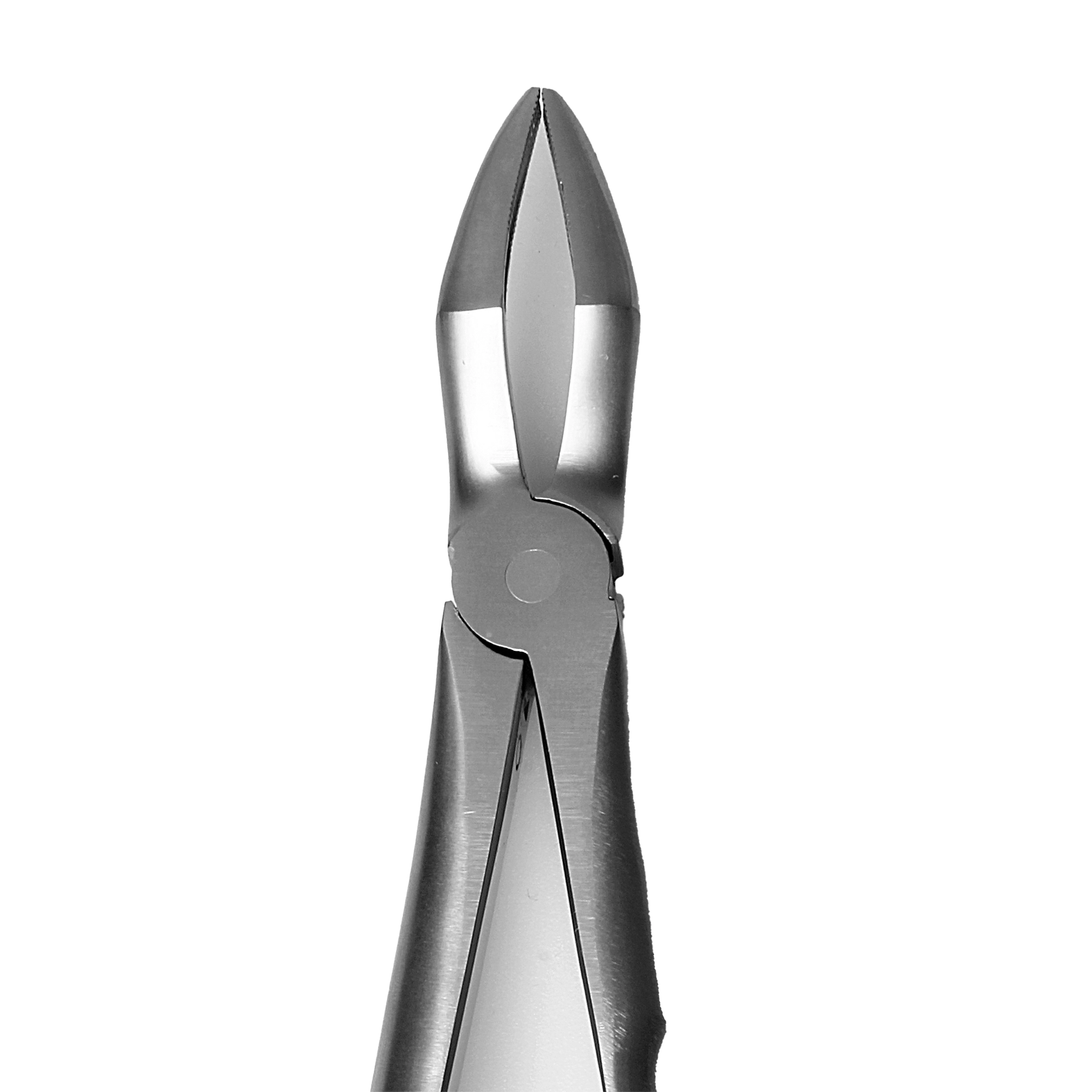 فورسپس ریشه کش بالا آناتومیک 4106