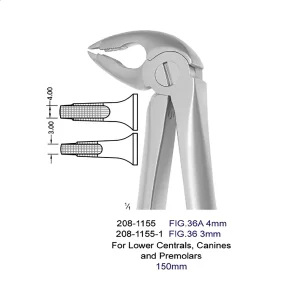 فورسپس پرمولر سانترال نیش پایین نوک تیز ۱-۱۱۵۵