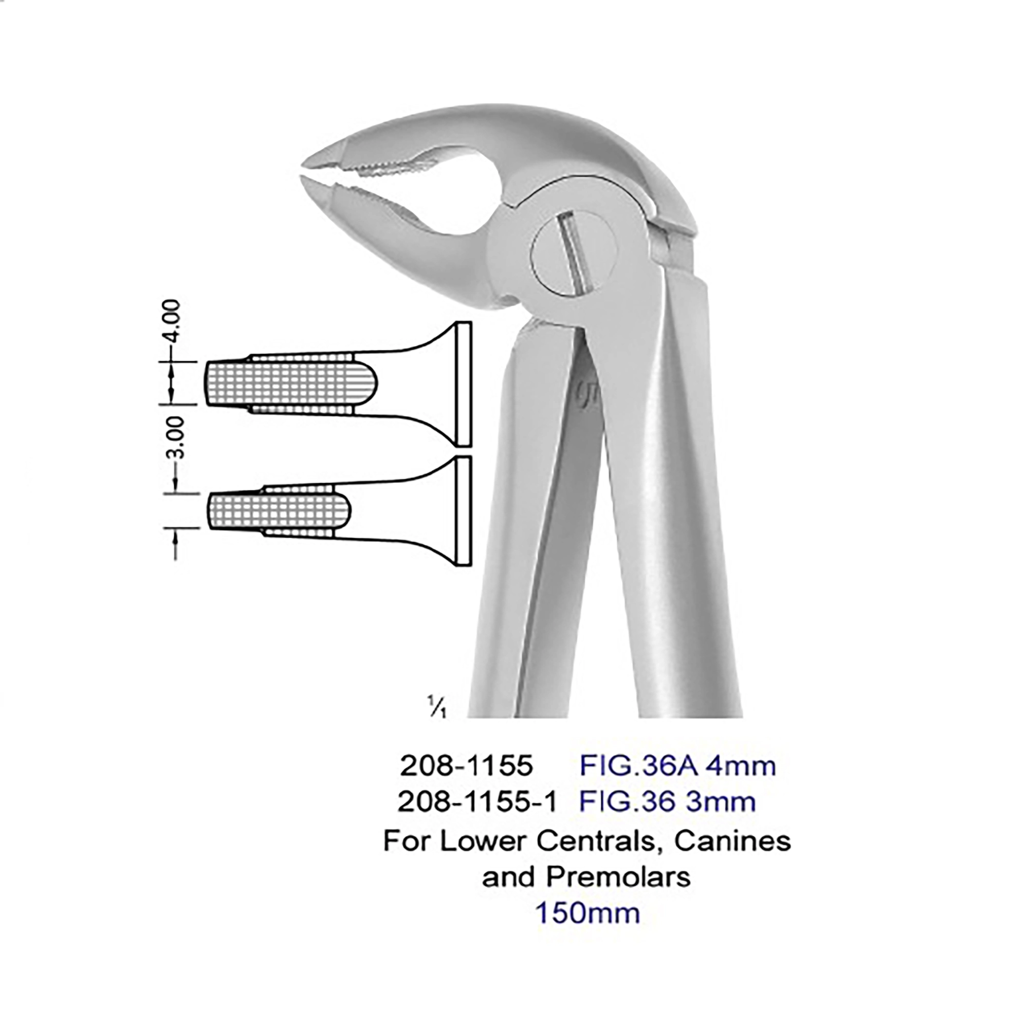 فورسپس پرمولر سانترال نیش پایین نوک تیز ۱-۱۱۵۵