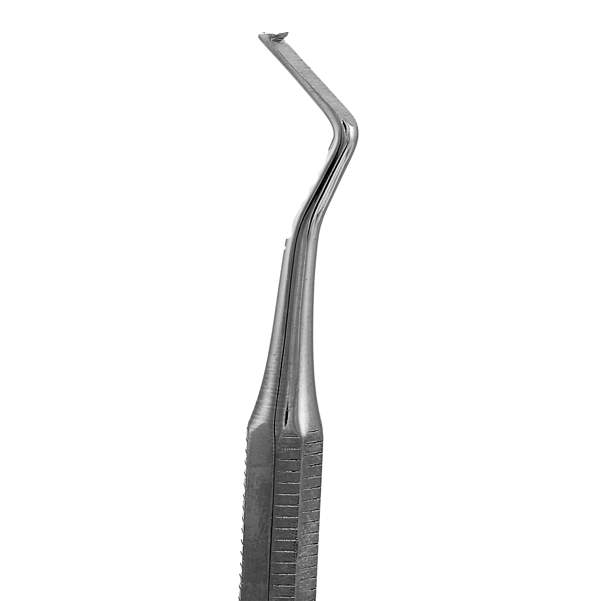 اسکیلر هو 1856