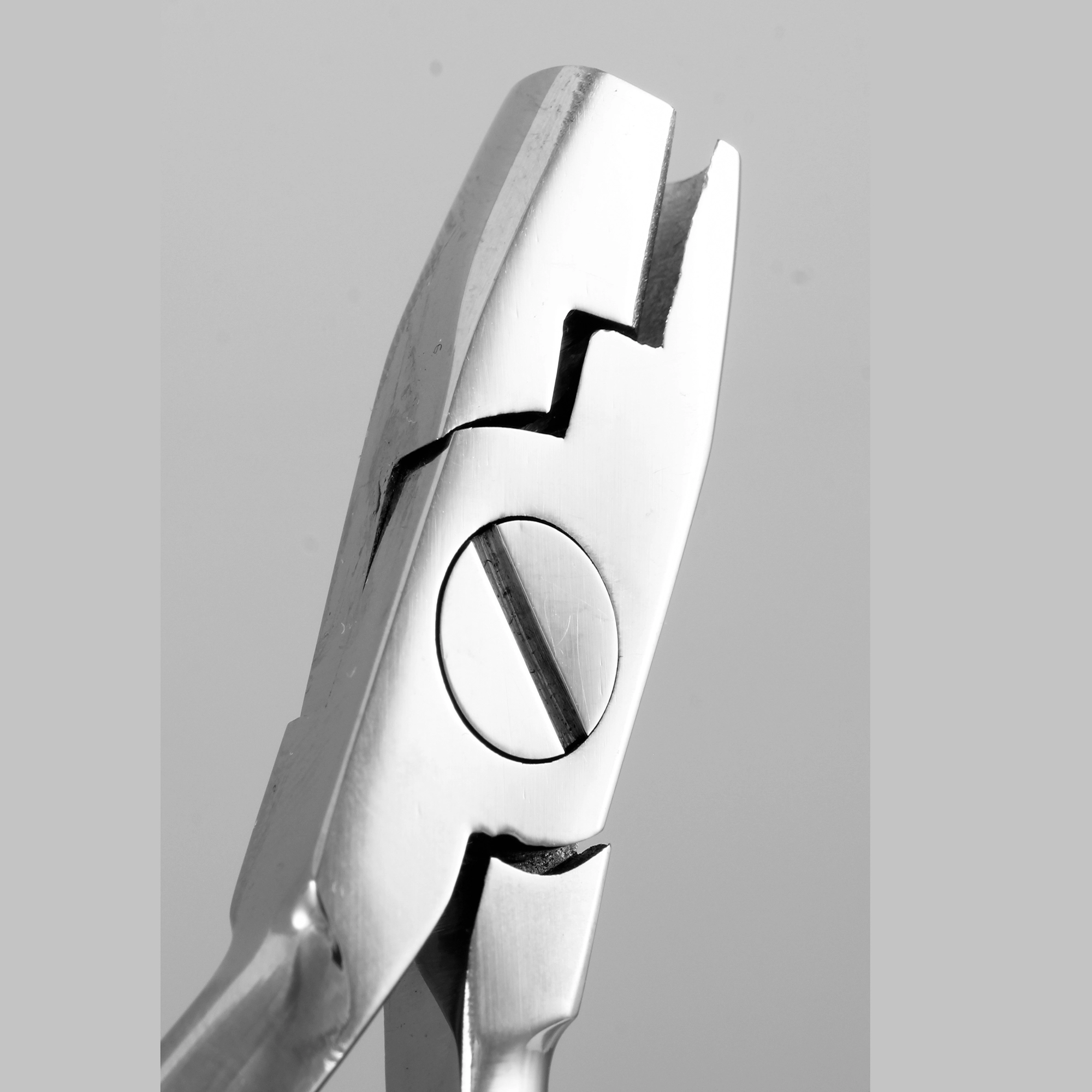 پلایر دلاروزا صاف 2324